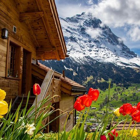 Chalet Caramelle Grindelwald Bagian luar foto