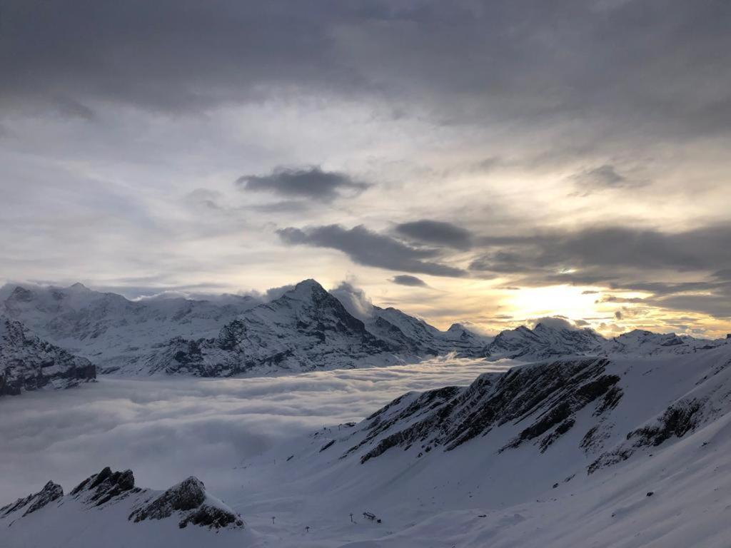 Chalet Caramelle Grindelwald Bagian luar foto