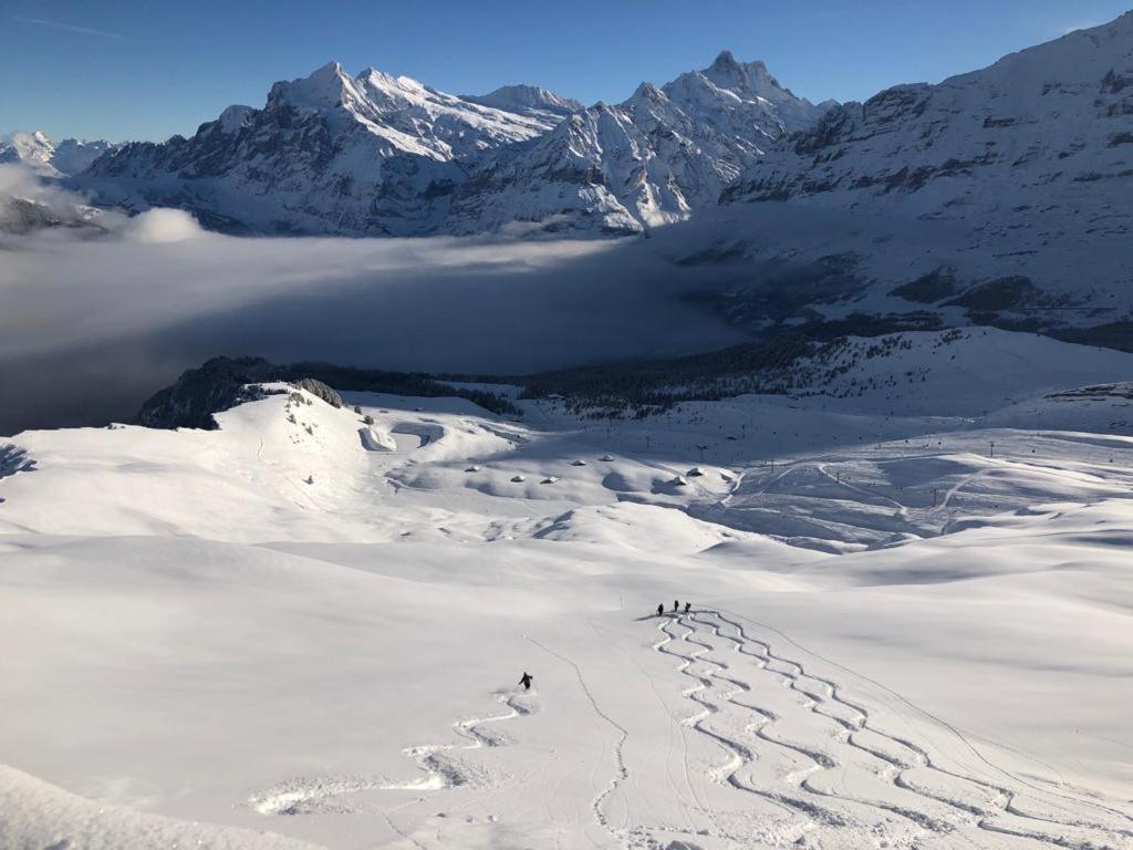 Chalet Caramelle Grindelwald Bagian luar foto