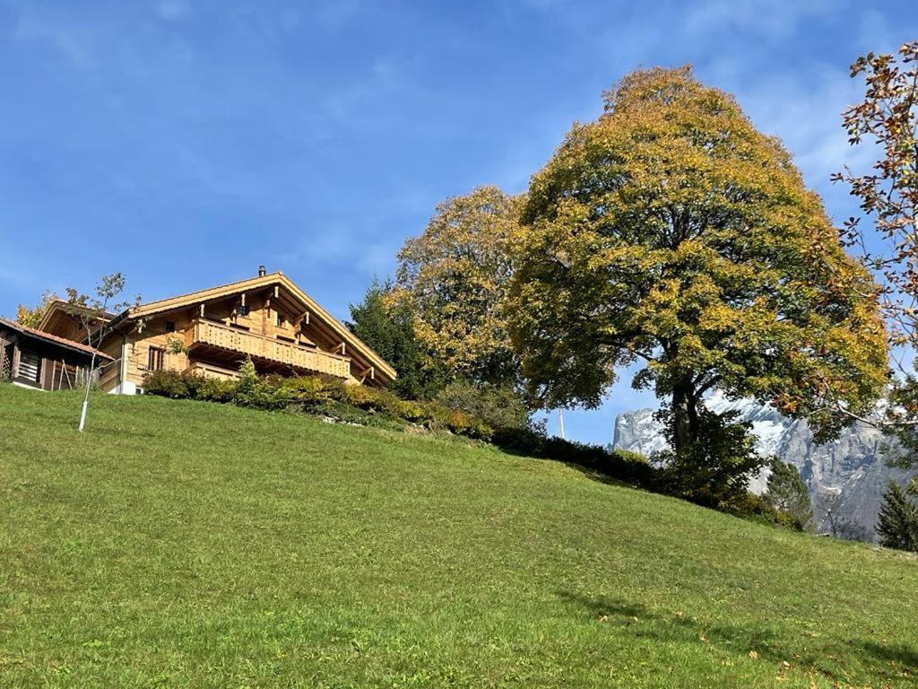 Chalet Caramelle Grindelwald Bagian luar foto