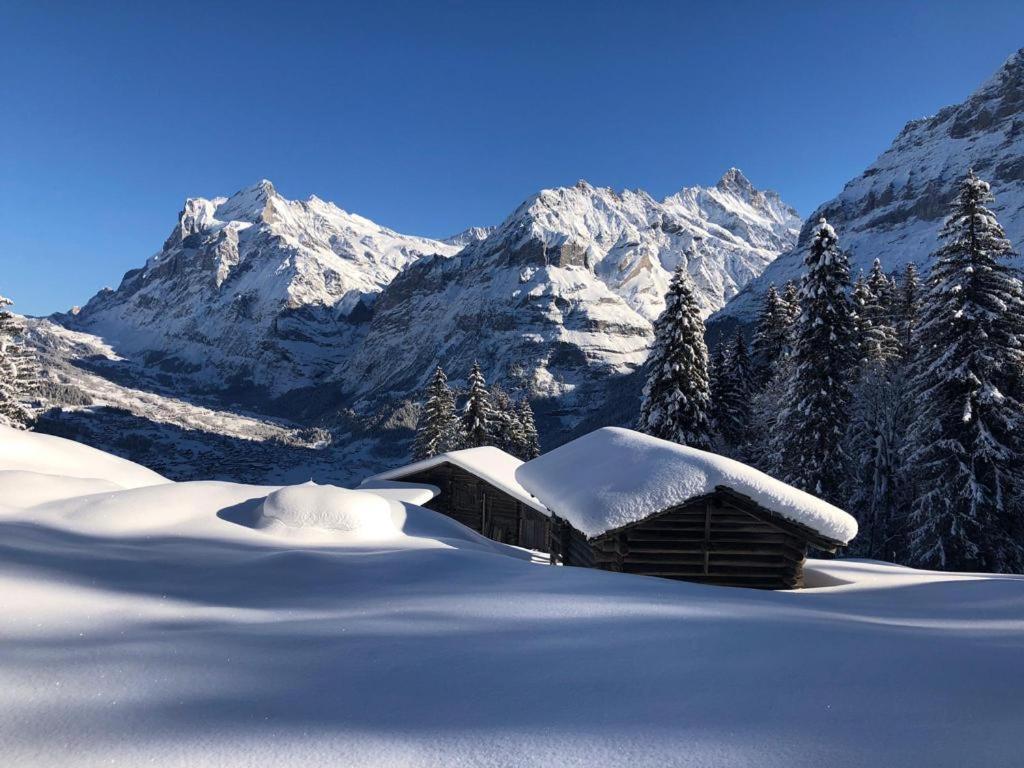 Chalet Caramelle Grindelwald Bagian luar foto