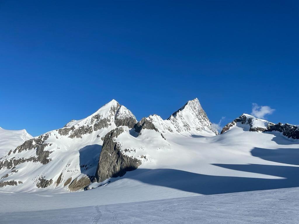 Chalet Caramelle Grindelwald Bagian luar foto